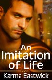 Imitation of Life (eBook, ePUB)