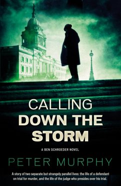 Calling Down the Storm (eBook, ePUB) - Murphy, Peter