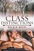 Class Distinctions (eBook, ePUB)