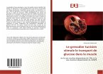 Le grenadier tunisien stimule le transport de glucose dans le muscle