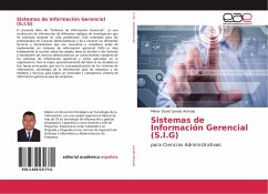 Sistemas de Información Gerencial (S.I.G)