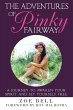The Adventures of Pinky Fairway - Bild 1