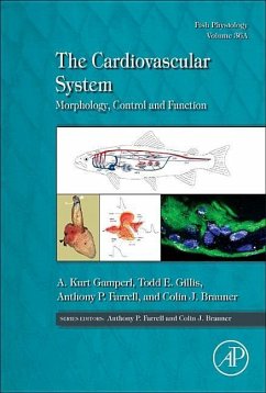 The Cardiovascular System