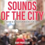 Sounds of the City   Sense & Sensation Books for Kids
