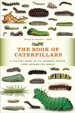 The Book of Caterpillars