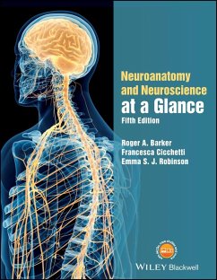 Neuroanatomy and Neuroscience at a Glance - Barker, Roger A.;Cicchetti, Francesca;Robinson, Emma S. J.