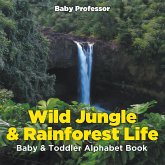 Wild Jungle & Rainforest Life- Baby & Toddler Alphabet Book