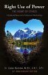 Right Use of Power - Bild 1