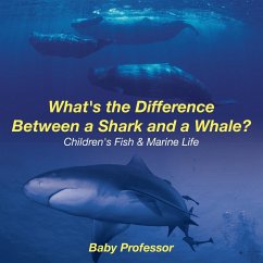 What's the Difference Between a Shark and a Whale?   Children's Fish & Marine Life - Baby