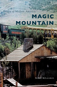 Magic Mountain - Mclaughlin, Robert