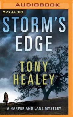 Storm's Edge - Healey, Tony