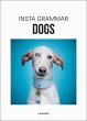 Insta Grammar Dogs - Bild 1