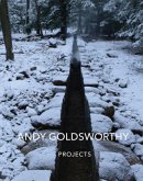 Andy Goldsworthy: Projects