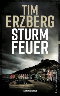 Sturmfeuer / Anna Krüger Bd.2 - Erzberg, Tim