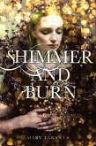 Shimmer and Burn (eBook, ePUB)