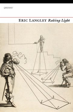 Raking Light (eBook, ePUB) - Langley, Eric