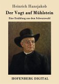 Der Vogt auf Mühlstein (eBook, ePUB)