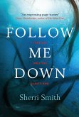 Follow Me Down (eBook, ePUB)