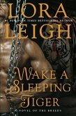 Wake a Sleeping Tiger (eBook, ePUB)