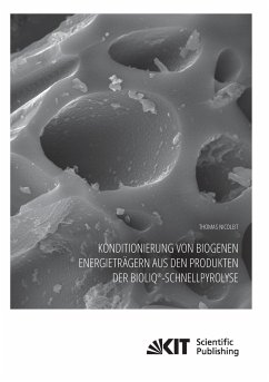 Konditionierung von biogenen Energieträgern aus den Produkten der bioliq®-Schnellpyrolyse - Nicoleit, Thomas