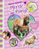Meine liebsten Pferde und Ponys