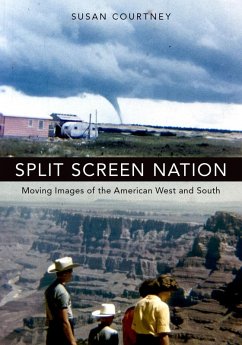 Split Screen Nation (eBook, ePUB) - Courtney, Susan