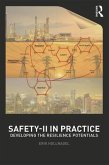 Safety-II in Practice