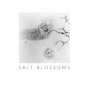 Salt Blossoms - Bild 1