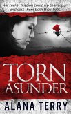 Torn Asunder (eBook, ePUB)