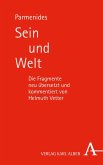 Sein und Welt (eBook, PDF)