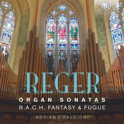Organ Sonatas - Falcioni,Adriano