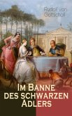 Im Banne des schwarzen Adlers (eBook, ePUB)