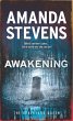 The Awakening (eBook, ePUB) - Bild 1
