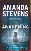 The Awakening (eBook, ePUB)