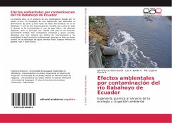 Efectos ambientales por contaminación del río Babahoyo de Ecuador - Viteri García, Iván Patricio;Bonilla A., Luis A.;García A., Ma. Eugenia