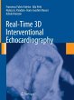 Real-Time 3D Interventional... - Bild 1