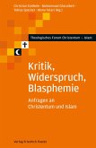 Kritik, Widerspruch, Blasphemie (eBook, PDF)