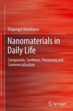 Nanomaterials in Daily Life - Abdullaeva, Zhypargul