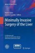 Minimally Invasive Surgery of the Liver - Bild 1