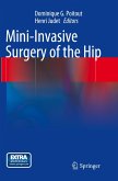 Mini-Invasive Surgery of the Hip