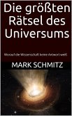 Die größten Rätsel des Universums (eBook, ePUB)