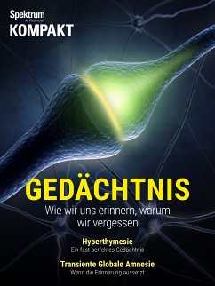 Spektrum Kompakt - Gedächtnis (eBook, PDF)