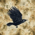 Grimspound Grimspound