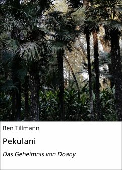 Pekulani (eBook, ePUB) - Tillmann, Ben