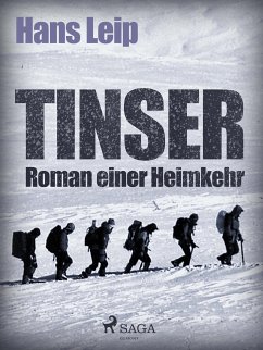 Tinser (eBook, ePUB) - Leip, Hans