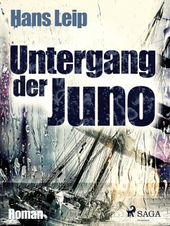 Cover Untergang der Juno (eBook, ePUB)
