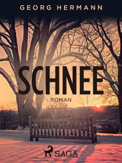 Schnee (eBook, ePUB) - Hermann, Georg