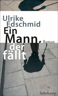 Ein Mann, der fällt (eBook, ePUB) - Edschmid, Ulrike