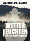 Wetterleuchten über dem Schwarzwald (eBook, ePUB)