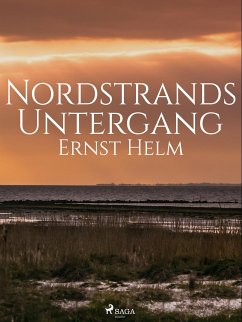 Nordstrands Untergang (eBook, ePUB) - Helm, Ernst